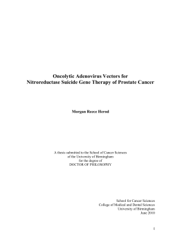 Oncolytic Adenovirus Vectors for Nitroreductase Suicide Gene Therapy of Prostate Cancer