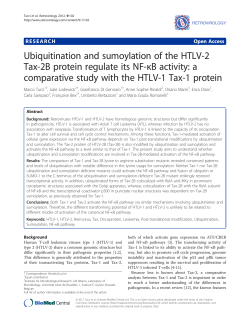 Ubiquitination and sumoylation of the HTLV-2 κB activity: a