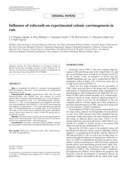 Influence of rofecoxib on experimental colonic carcinogenesis in rats