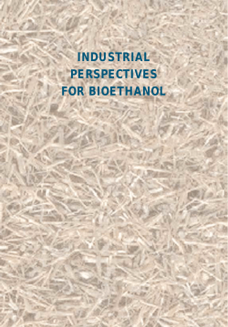INDUSTRIAL PERSPECTIVES FOR BIOETHANOL