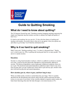 Guide to Quitting Smoking