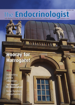 Hooray for Harrogate! Attracting public