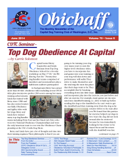 Obichaff C Top Dog Obedience At Capital CDTC Seminar—