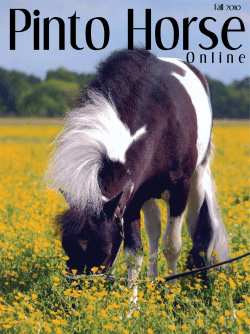 Pinto Horse O n l i n e Fall 2010