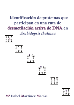 Identificación de proteínas que participan en una ruta de