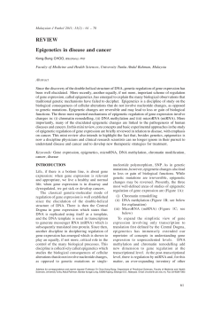 REVIEW Epigenetics in disease and cancer