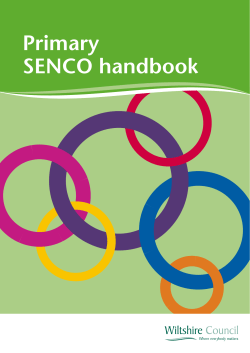 Primary SENCO handbook