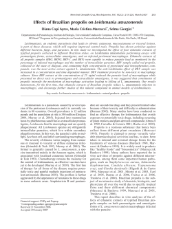 Effects of Brazilian propolis on Leishmania amazonensis , Selma Giorgio/ *