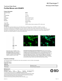 BD Pharmingen™ Purified Mouse anti-CRABP2 Technical Data Sheet Bioimaging Certified Reagent
