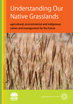 Understanding Our Native Grasslands agricultural, environmental and indigenous