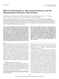 Effects of Rexinoids on Thyrotrope Function and the Hypothalamic-Pituitary-Thyroid Axis