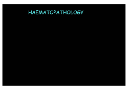 HAEMATOPATHOLOGY