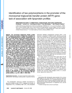 Identification of two polymorphisms in the promoter of the