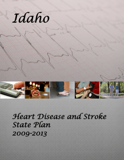 Idaho Heart Disease and Stroke State Plan 2009-2013