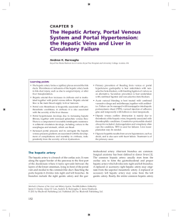 The Hepatic Artery, Portal Venous System and Portal Hypertension: Circulatory Failure