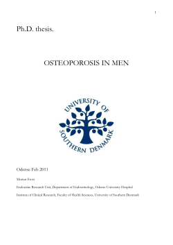 Ph.D. thesis.  OSTEOPOROSIS IN MEN Odense Feb 2011