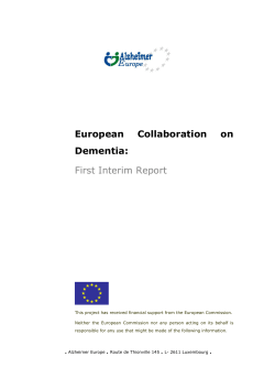 European Collaboration on Dementia: First Interim Report