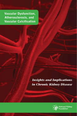 Vascular Dysfunction, Atherosclerosis, and Vascular Calcification Insights and Implications