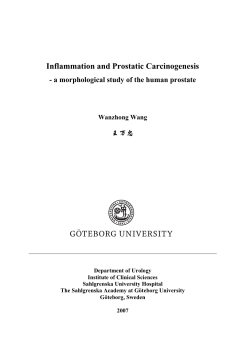 Inflammation and Prostatic Carcinogenesis  ၩၦ᎔