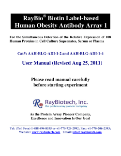 RayBio Biotin Label-based Human Obesity Antibody Array 1
