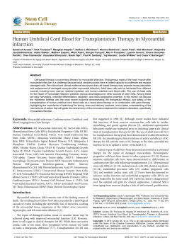 Stem Cell Human Umbilical Cord Blood for Transplantation Therapy in Myocardial Infarction