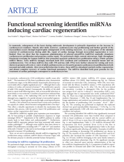 ARTICLE Functional screening identifies miRNAs inducing cardiac regeneration