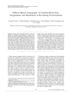 Diffuse Optical Tomography of Cerebral Blood Flow,