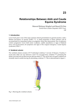 23 Relationships Between AAA and Cauda Equina Syndrome