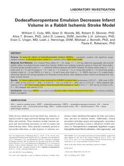 Dodecafluoropentane Emulsion Decreases Infarct Volume in a Rabbit Ischemic Stroke Model