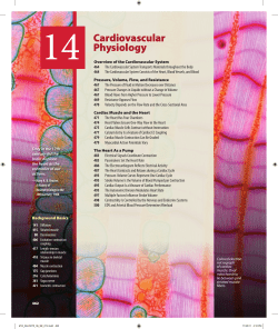 14 Cardiovascular Physiology