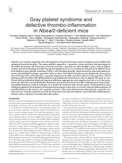 Gray platelet syndrome and defective thrombo-inflammation Nbeal2 Research article
