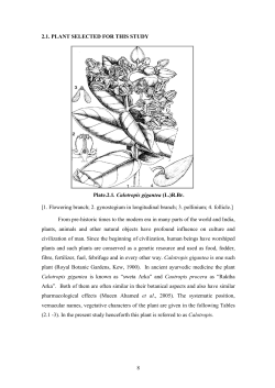 [1. Flowering branch; 2. gynostegium in longitudinal branch; 3. pollinium;... From pre-historic times to the modern era in many parts... 2.1. PLANT SELECTED FOR THIS STUDY