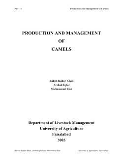 PRODUCTION AND MANAGEMENT OF CAMELS