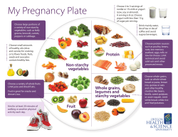 My Pregnancy Plate