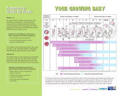 YOUR GROWING BABY Pregnancy: Week By Week