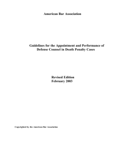 American Bar Association  Guidelines for the Appointment and Performance of
