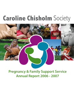 Pregnancy &amp; Family Support Service Annual Report 2006 - 2007