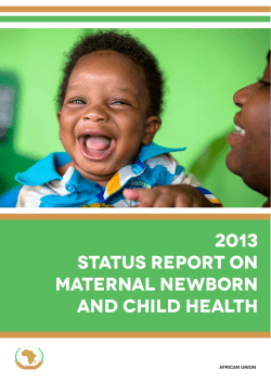 2013 status report on maternal newborn and child health