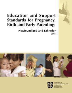 Education  and  Support Standards  for  Pregnancy,