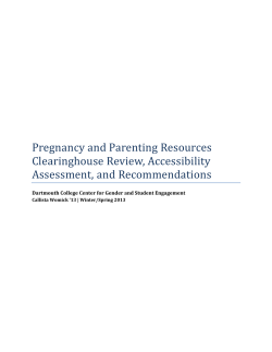 Pregnancy and Parenting Resources Clearinghouse Review, Accessibility Assessment, and Recommendations