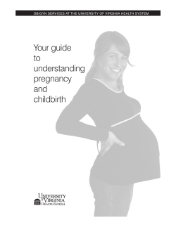 Your guide to understanding pregnancy