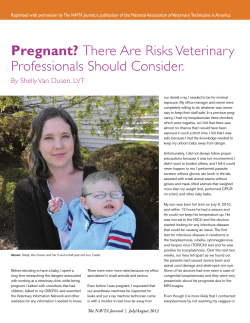 Pregnant? Professionals Should Consider. By Shelly Van Dusen, LVT The NAVTA Journal