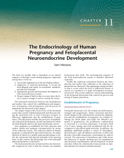 11 The Endocrinology of Human Pregnancy and Fetoplacental Neuroendocrine Development