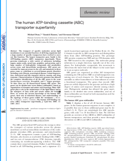 The human ATP-binding cassette (ABC) transporter superfamily Michael Dean,