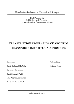 TRANSCRIPTION REGULATION OF ABC DRUG TRANSPORTERS BY MYC ONCOPROTEINS