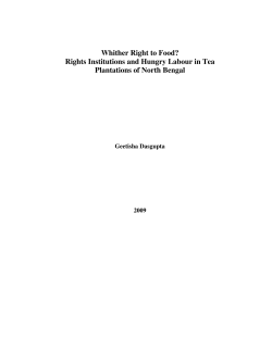 Whither Right to Food? Rights Institutions and Hungry Labour in Tea