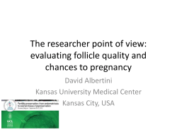 The researcher point of view: evaluating follicle quality and chances to pregnancy