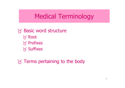 Medical Terminology F Basic word structure F Terms pertaining to the body