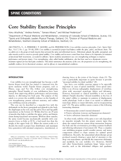 Core Stability Exercise Principles