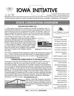 A  INITIA  STATE CONVENTION OVERVIEW